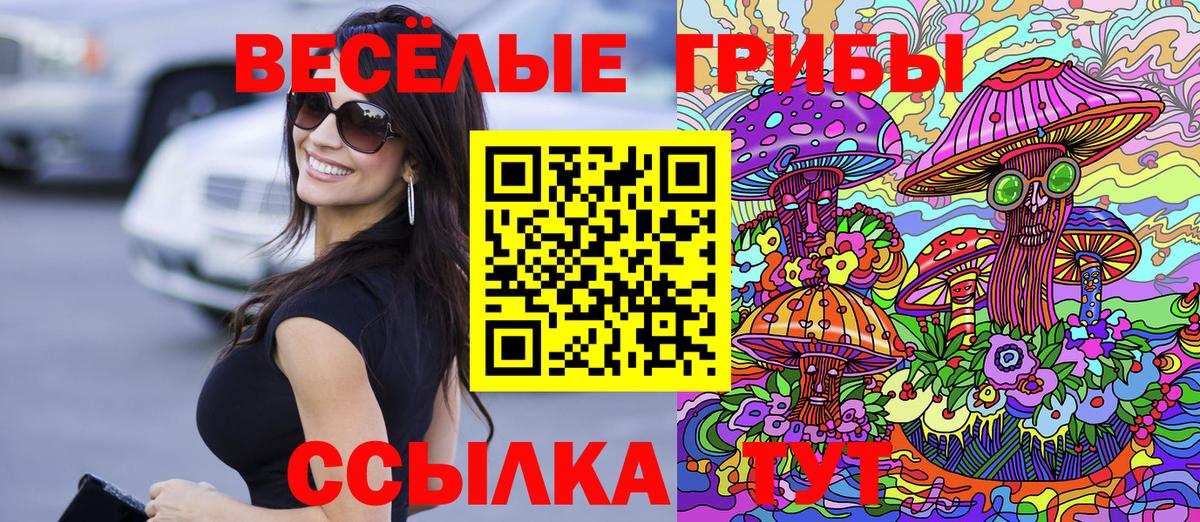 A-PVP Коломна