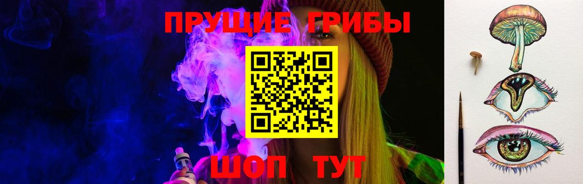 Псилоцибиновые грибы мицелий  продажа наркотиков  Вход с VPN  Коломна  Галлюциногенные грибы Cubensis 
