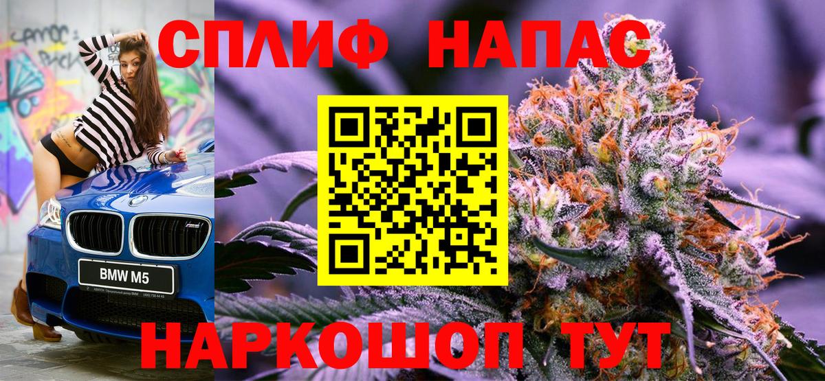 Бошки Шишки MAZAR Коломна